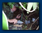 I LIKE doing my morse by hand